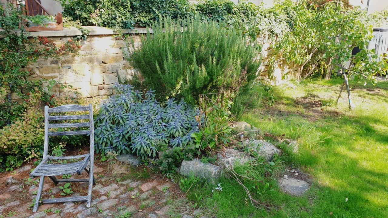 Willa The Old Bank Beautiful Cotswold House With Huge Garden Mickleton  Zewnętrze zdjęcie
